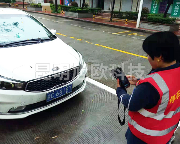 雙柏鄂嘉鎮路邊停車收費系統