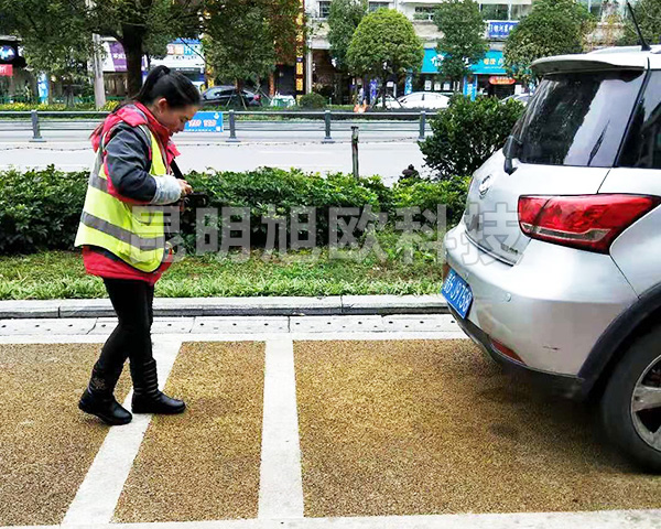 貴州安順市路邊停車收費系統